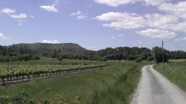 FAVAS - PUECH DU CAMP-herault