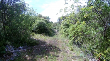 ST-BAUZILLE-DE-PUTOIS - FERRIERES-LES-VERRERIES-herault