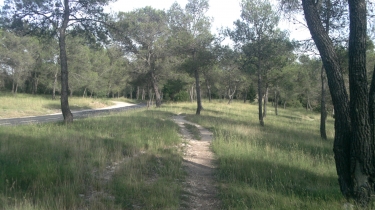 ST-GELY DU FESC - LES VAUTES-herault