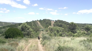 GRABELS - BALADE VERS LA TOUR DE MONTREDON-herault