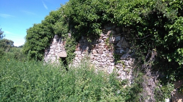 LAURENS - LA GRANGE MONASTIQUE DE SAUVANES-herault