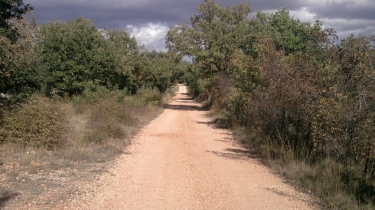 VIOLS-EN-LAVAL -herault