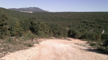 ENTRE SAINT-GELY-DU-FESC ET MURLES-herault