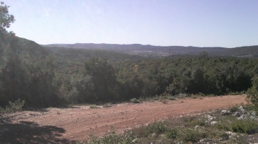 ENTRE SAINT-GELY-DU-FESC ET MURLES-herault