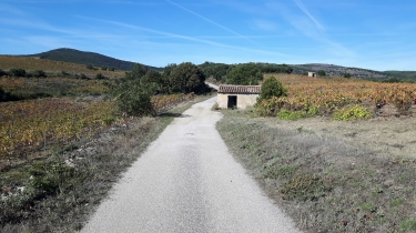 FAUGERES - LA JASSE-herault