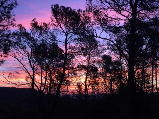 AU PIED DU ROCHER DU CAUSSE DE LAURET-herault