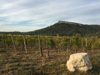 AU PIED DU ROCHER DU CAUSSE DE LAURET-herault