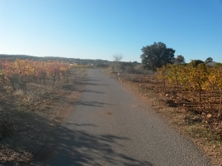 LAVERUNE - SENTIER DU DRAGON - OENORANDO-herault