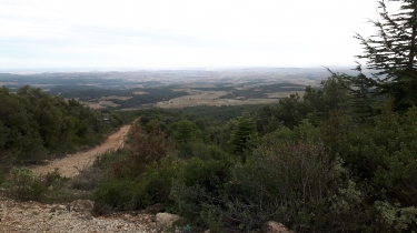 FAUGERES - ATENNES DE L ESTELLIER-herault