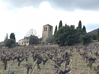 AUTOUR D OLARGUES-herault