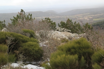 PARDAILHAN - ROC DU CLOCHER-herault