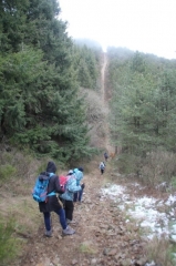 PARDAILHAN - ROC DU CLOCHER-herault