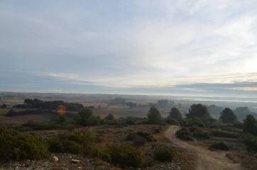 LESPIGNAN - SOURCE SULFUREUSE - SITE ARCHEOLOGIQUE-herault