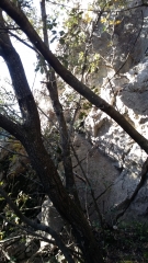GABIAN - GROTTE DE CARAMAU-herault