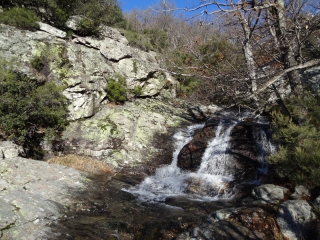 GARELS - PLATEAU DU CAROUX - FLEYSSES-herault