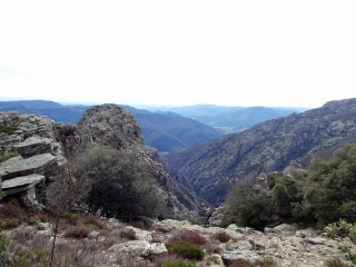 GARELS - PLATEAU DU CAROUX - FLEYSSES-herault
