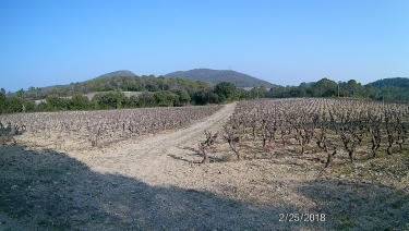 FONTANES - CHAPELLE RUINEE-herault