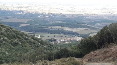 CAUSSINIOJOULS - BOIS DE L ESTELIER-herault