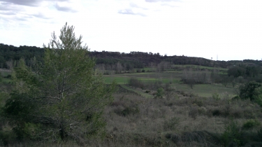 BOUCLE A LA VALSIERE (GRABEL)-herault