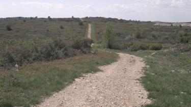 BOUCLE GRABELS - GARRIGUE DE FONTCAUDE-herault