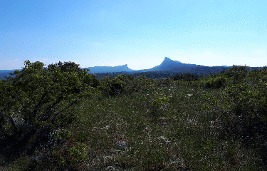 VIOLS-EN-LAVAL - FONTAINE DE TERMENAU-herault