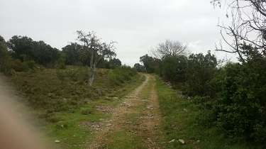 SAINT-MARTIN DE LONDRES - BOUCLE A PARTIR DU PONT DE MASCLAC-herault