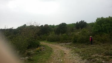 SAINT-MARTIN DE LONDRES - BOUCLE A PARTIR DU PONT DE MASCLAC-herault