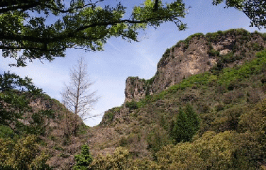 SAINT GENIES DE VARENSAL-herault