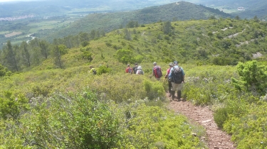 LE PUECH DE LA SOUQUE ET LE MONT PEYROUX-herault