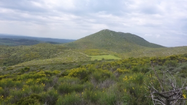 LE PUECH DE LA SOUQUE ET LE MONT PEYROUX-herault