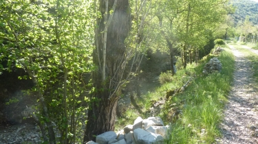 LUNAS - LES DEUX RUISSEAUX-herault