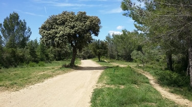 BOUCLE ENTRE CLAPIERS ET PRADES -herault