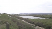 BOUCLE AUX SALINES DE VILLENEUVE-LES-MAGUELONE-herault