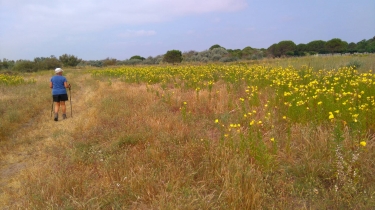 VENDRES - CHICHOULET-herault