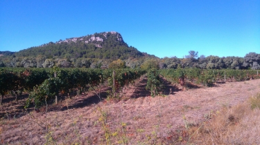 SAINT-CHINIAN - NOTRE-DAME DE NAZARETH (2)-herault
