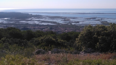 FRONTIGNAN - GARDIOLE - GARRIGUE - PIOCH MICHEL - PIOCH MADAME-herault