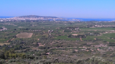 FRONTIGNAN - GARDIOLE - GARRIGUE - PIOCH MICHEL - PIOCH MADAME-herault