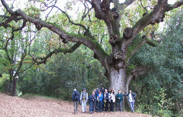 MURVIEL - GARRIGUES ET OPPIDUM-herault