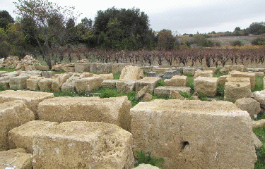MURVIEL - GARRIGUES ET OPPIDUM-herault
