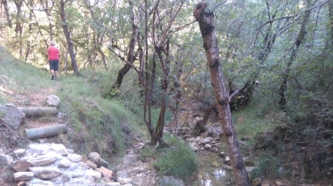 VIGNES ET GARRIGUES - MURVIEL LES BEZIERS-herault