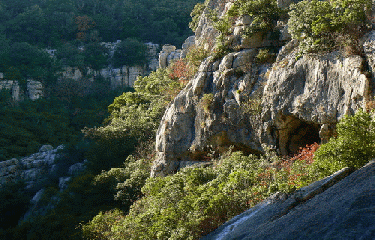 RAVIN DES ARCS-herault