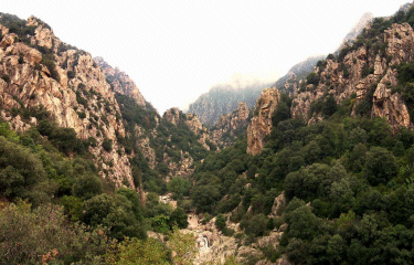 Trail du Caroux (Ed 2008)-herault