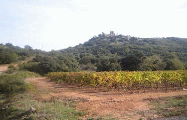 VENDEMIAN - AUMELAS-herault