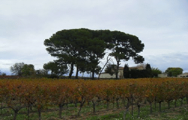 MONTAGNAC - BESSILLES-herault