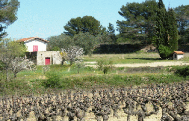 MONTAGNAC - BESSILLES-herault