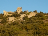 VENDEMIAN - CASTELLAS D AUMELAS-herault