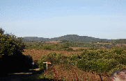 ROQUESSELS-herault