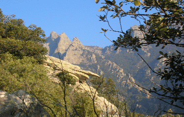 CABALET SUPERIEUR-herault