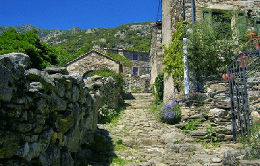 SAINT-MARTIN-DE-L ARCON-herault