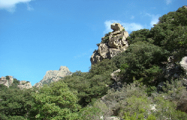 SAINT-MARTIN-DE-L ARCON-herault